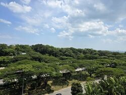 Seaside Residences (D15), Apartment #537349911